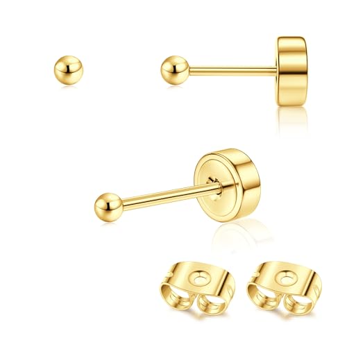 Adramata 2Pcs Titan Ohrringe Gold Damen Ohrstecker Titan Flach Zurück Ohrstecker Hypoallergene Piercing Ohr Tragus Piercing Helix Piercings Gold Silber Titan Ohrringe 2/3/4MM von Adramata