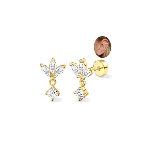 Adramata 2Pcs Helix Piercings Chirurgenstahl Ohrringe für Damen 16G Tragus Piercing Innengewinde Knorpel Ohrringe Ohrstecker Hypoallergen Piercing Ohr Tragus Conch Helix Piercing Gold Silber Adramata 2Pcs Helix Piercings Chirurgenstahl Ohrringe für Damen 16G Tragus Piercing Innengewinde Knorpel Ohrringe Ohrstecker Hypoallergen Piercing Ohr Tragus Conch Helix Piercing Gold Silber von Adramata