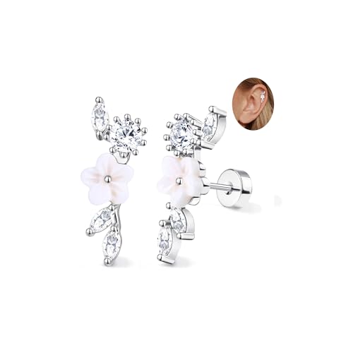 Adramata 2Pcs Helix Piercings Chirurgenstahl Ohrringe für Damen 16G Tragus Piercing Innengewinde Knorpel Ohrringe Ohrstecker Hypoallergen Piercing Ohr Tragus Conch Helix Piercing Gold Silber Adramata 2Pcs Helix Piercings Chirurgenstahl Ohrringe für Damen 16G Tragus Piercing Innengewinde Knorpel Ohrringe Ohrstecker Hypoallergen Piercing Ohr Tragus Conch Helix Piercing Gold Silber von Adramata