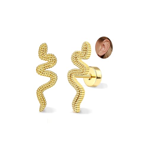 Adramata 2Pcs Helix Piercings Chirurgenstahl Ohrringe für Damen 16G Tragus Piercing Innengewinde Knorpel Ohrringe Ohrstecker Hypoallergen Piercing Ohr Tragus Conch Helix Piercing Gold Silber von Adramata