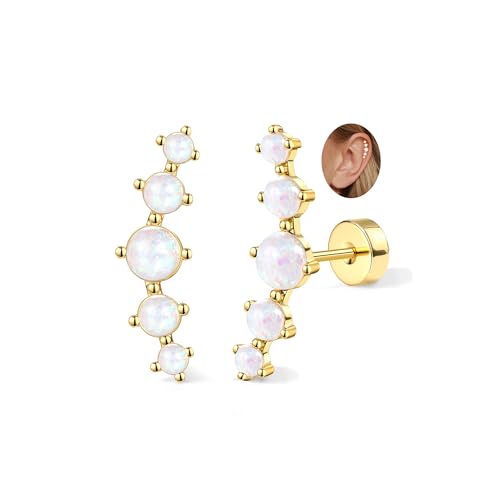 Adramata 2Pcs Helix Piercings Chirurgenstahl Ohrringe für Damen 16G Tragus Piercing Innengewinde Knorpel Ohrringe Ohrstecker Hypoallergen Piercing Ohr Tragus Conch Helix Piercing Gold Silber von Adramata