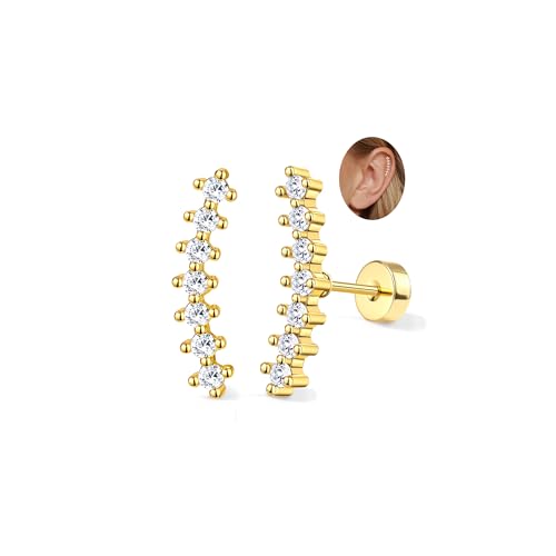 Adramata 2Pcs Helix Piercings Chirurgenstahl Ohrringe für Damen 16G Tragus Piercing Innengewinde Knorpel Ohrringe Ohrstecker Hypoallergen Piercing Ohr Tragus Conch Helix Piercing Gold Silber von Adramata
