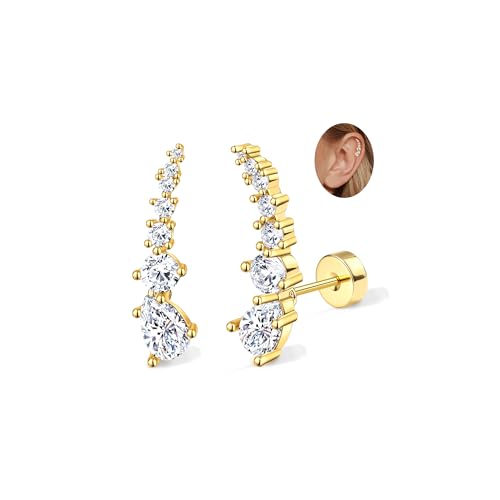 Adramata 2Pcs Helix Piercings Chirurgenstahl Ohrringe für Damen 16G Tragus Piercing Innengewinde Knorpel Ohrringe Ohrstecker Hypoallergen Piercing Ohr Tragus Conch Helix Piercing Gold Silber Adramata 2Pcs Helix Piercings Chirurgenstahl Ohrringe für Damen 16G Tragus Piercing Innengewinde Knorpel Ohrringe Ohrstecker Hypoallergen Piercing Ohr Tragus Conch Helix Piercing Gold Silber von Adramata