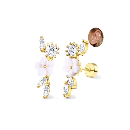 Adramata 2Pcs Helix Piercings Chirurgenstahl Ohrringe für Damen 16G Tragus Piercing Innengewinde Knorpel Ohrringe Ohrstecker Hypoallergen Piercing Ohr Tragus Conch Helix Piercing Gold Silber von Adramata
