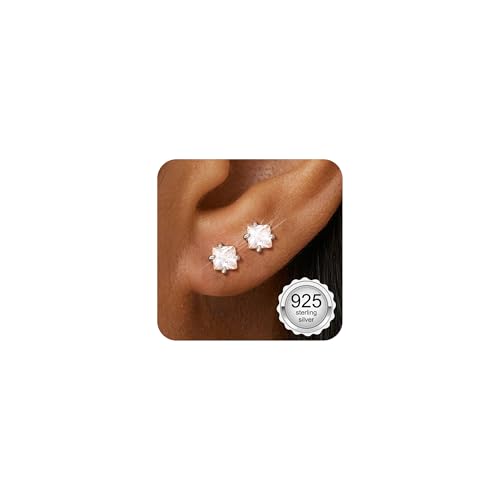 Adramata Ohrringe Silber 925 Klein Ohrringe Damen Mädchen Flatback Ohrstecker Silber 925 Hypoallergen Knorpel Ohrring Tragus Helix Piercings Gold Ohrringe Stecker von Adramata