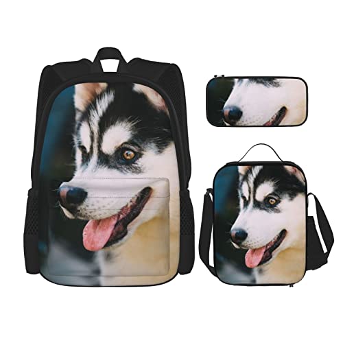 AeRko 3D-Druck Schulrucksack-Set 3-teilig Picknick Mittagessen Tasche Stifttaschen für Jungen Mode Büchertasche Tagesrucksäcke (Farbe: C) von AeRko