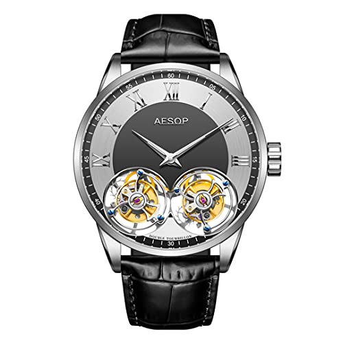 Aesop Doppelt Tourbillon Uhren Herren Mechanische Handaufzug Armbanduhren Edelstahl Saphirglas Wasserdicht Luxus Business Uhr für Herren 7026(Grau) von Aesop