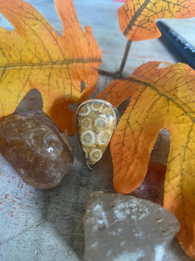 Natürlicher Korallen Fossilien Ring - Koralle Fossiler Anhänger Größe 8 von AgateBeachcomber