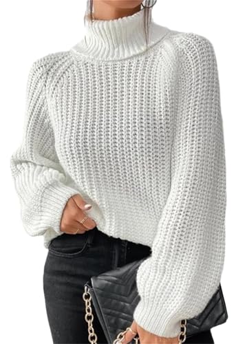 Agiyenna Damen Mode Freizeit Strickpullover Einfarbig Elegant Gerippter Rollkragenpullover Herbst Winter Langarm Loose Casual Pullover Klassischer Stretch Warmer Pullover Sweater Streetwear von Agiyenna