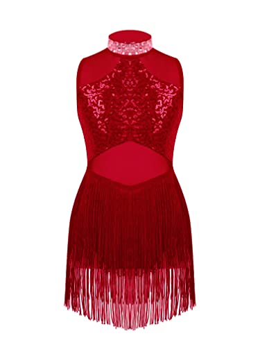 Agoky Mädchen Tanzkleid Latein Kleid Pailletten Quaste Tanzkostüm Ballett Tango Rumba Ballroom Dancewear Burgundy B 134-140 von Agoky