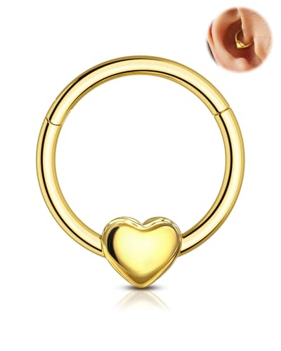 Agrewd 16G Liebe Herz Septum Piercing Schmuck 316L Edelstahl Septum Schmuck Scharnier Segment Nase Daith Helix Piercing Schmuck 8mm/10mm Daith Helix Ohrringe für Frauen, Edelstahl von Agrewd