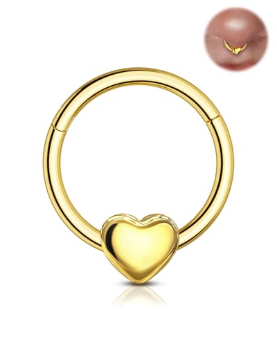 Agrewd 16G Liebe Herz Septum Piercing Schmuck 316L Edelstahl Septum Schmuck Scharnier Segment Nase Daith Helix Piercing Schmuck 8mm/10mm Daith Helix Ohrringe für Frauen, Edelstahl von Agrewd