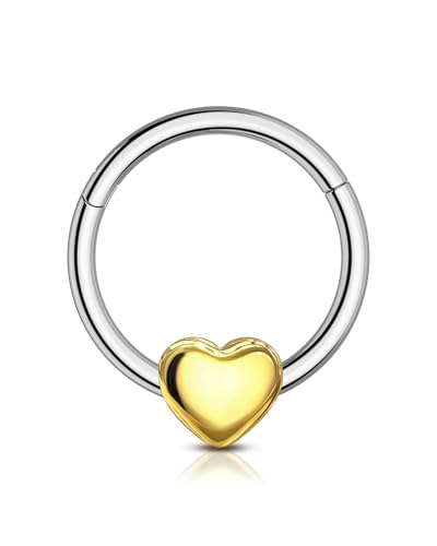 Agrewd 16G Liebe Herz Septum Piercing Schmuck 316L Edelstahl Septum Schmuck Scharnier Segment Nase Daith Helix Piercing Schmuck 8mm/10mm Daith Helix Ohrringe für Frauen, Edelstahl von Agrewd