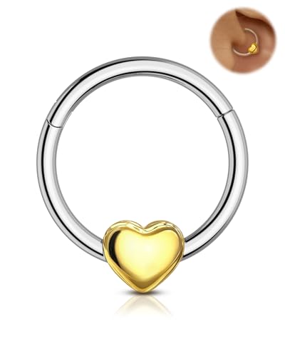 Agrewd 16G Liebe Herz Septum Piercing Schmuck 316L Edelstahl Septum Schmuck Scharnier Segment Nase Daith Helix Piercing Schmuck 8mm/10mm Daith Helix Ohrringe für Frauen, Edelstahl von Agrewd