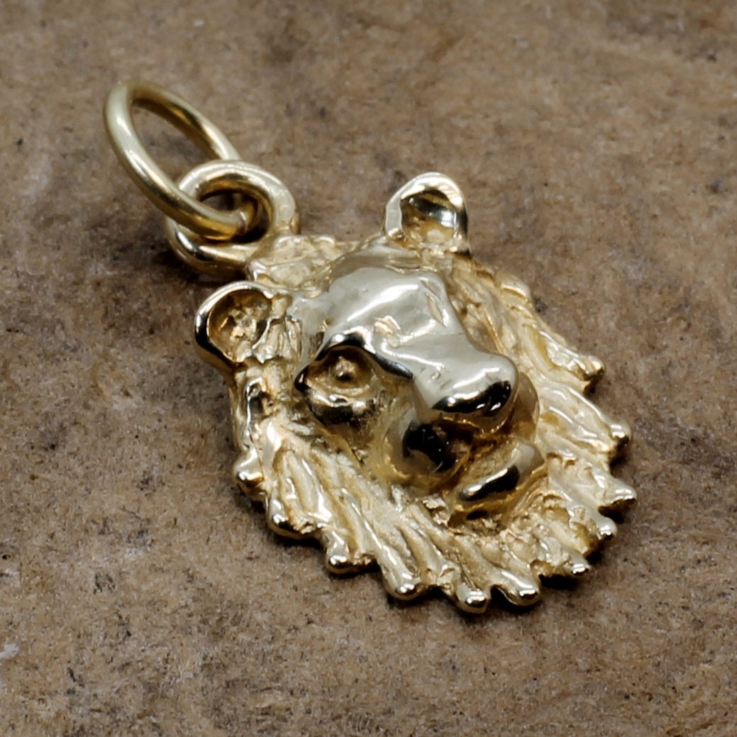 14Kt Gold Löwenkopf Anhänger Detaillierte Mähne, Afrika Safari Geschenk von Agrijewelry