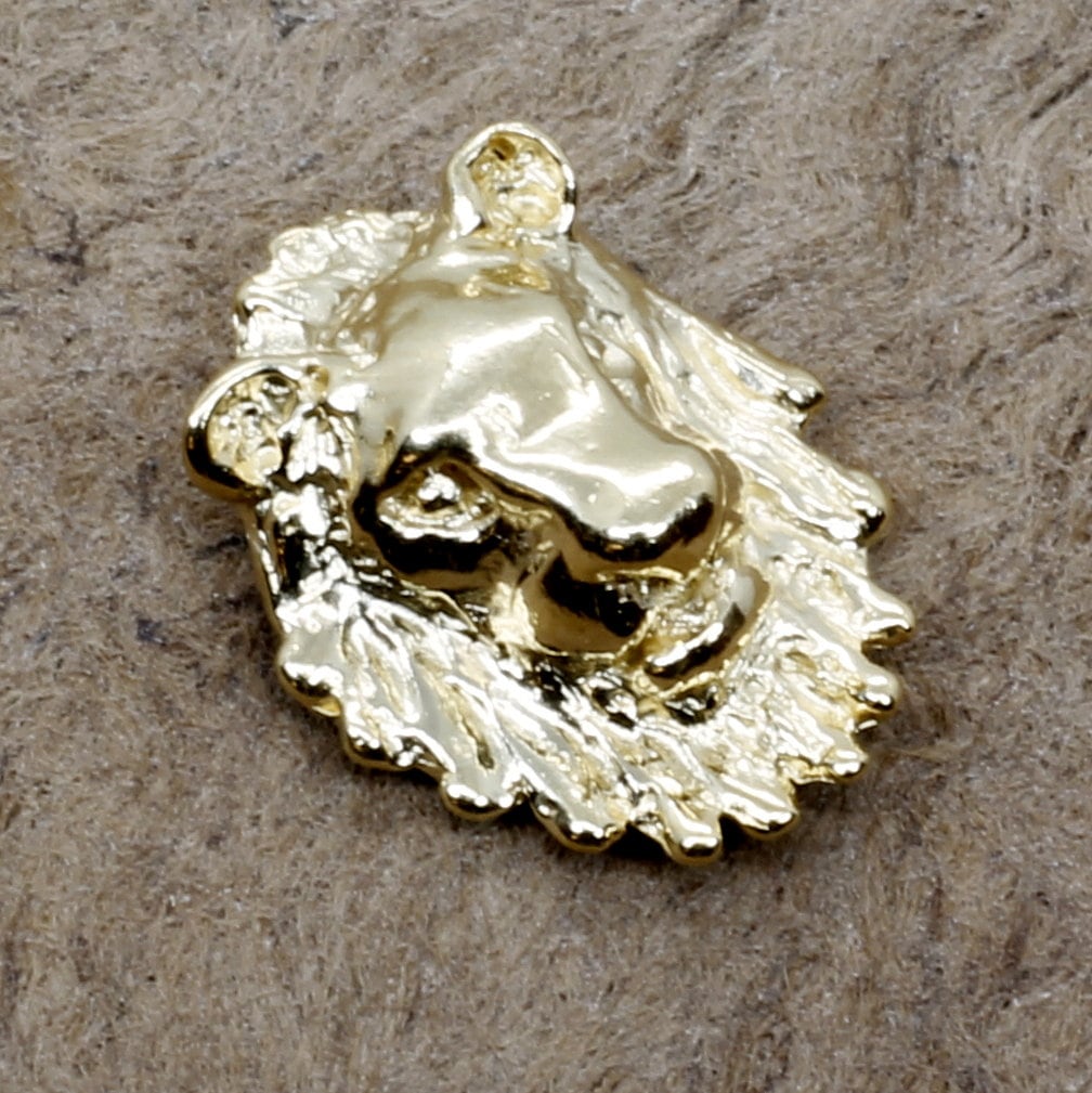 14Kt Gold Vermeil Löwenkopf Krawatte Tack - Alle Edelmetalle 14Kt Gold Vermeil Löwenkopf Krawatte Tack - Alle Edelmetalle von Agrijewelry