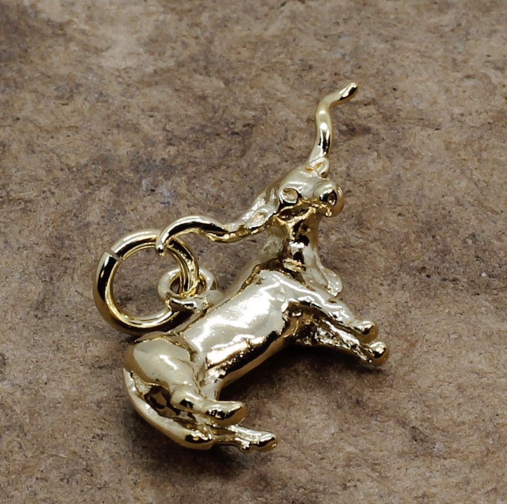 14Kt Gold Vermeil Texas Longhorn Anhänger Viehzüchter Schmuck, Alle Edelmetalle von Agrijewelry