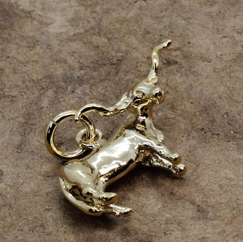 14Kt Gold Vermeil Texas Longhorn Anhänger Viehzüchter Schmuck, Alle Edelmetalle von Agrijewelry
