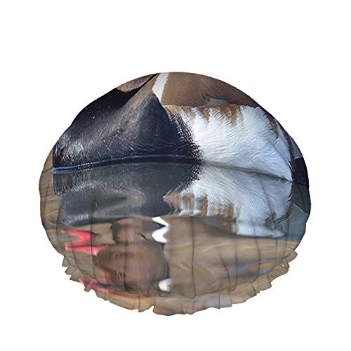Pochard Duschhaube Wildlife Animal Red Beak Lake River Große Badekappen für Frauen Männer Mädchen Langes Haar Wasserdichte wiederverwendbare Hüte von Ahdyr