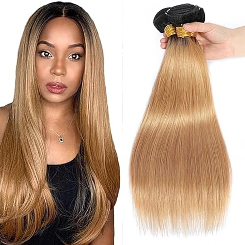 AiPliantfis 1b/27 Straight Brazilian Human Hair Bundles Extensions Echthaar Tressen Real Hair Double Weft with Tow Tone Hair for Sew No Smell for Women 22 24 26 Zoll von AiPliantfis