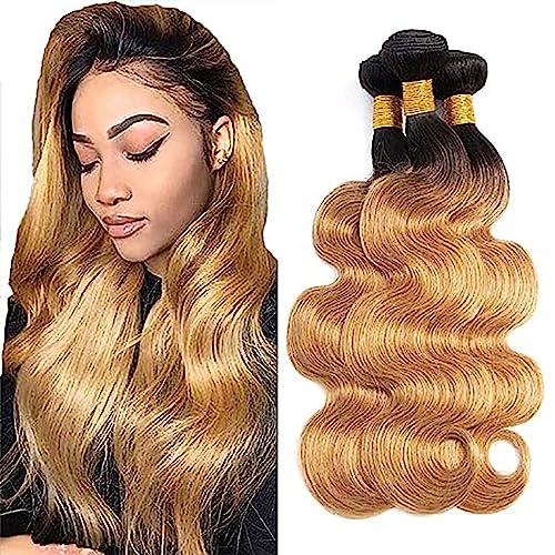 AiPliantfis Blonde Bundles Human Hair Extension Body Wave 1B27 Tressen Echthaar Unprocessed Virgin Hair 100g/PC 300g Total Unprocessed Virgin Hair for Women 16 18 20 Zoll AiPliantfis Blonde Bundles Human Hair Extension Body Wave 1B27 Tressen Echthaar Unprocessed Virgin Hair 100g/PC 300g Total Unprocessed Virgin Hair for Women 16 18 20 Zoll von AiPliantfis