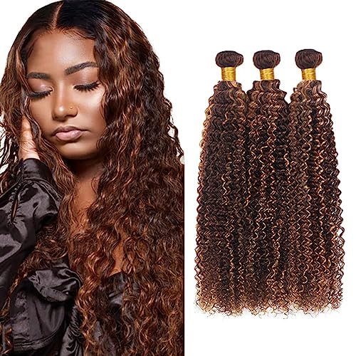 AiPliantfis Brown Human Hair Bundles Curly Wave Bundles Human Hair Menschliche Haarwebart 3 Bündel Extensions Highlight Brazilian Remy Hair 100% Unprocessed Virgin Hair for Women 14 16 18 Zoll von AiPliantfis