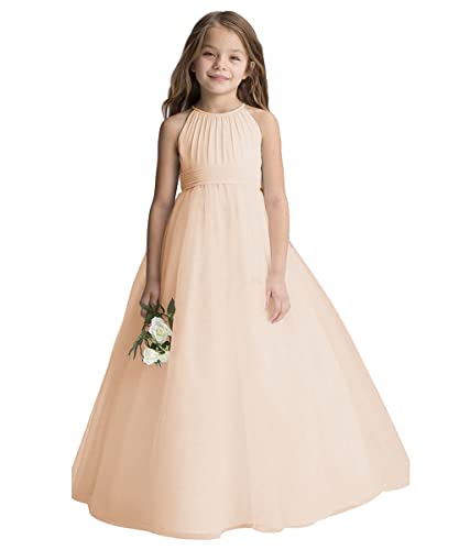 Aibaowedding Blumenmädchen Tüll Chiffon Kleider Kinder Hochzeit Festzug Ballkleider (Champagnerfarbe,10-11Y) von Aibaowedding