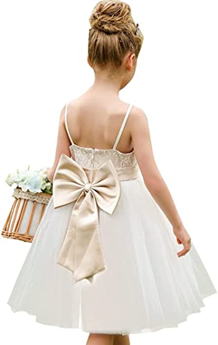 Aibaowedding Blumenmädchen ärmelloses Spitzenkleid Tüll Prinzessin Schleife Hochzeit Partykleid Junior Brautjungfer Kleider(Champagner,12-13Y) von Aibaowedding