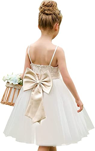 Aibaowedding Blumenmädchen ärmelloses Spitzenkleid Tüll Prinzessin Schleife Hochzeit Partykleid Junior Brautjungfer Kleider (Champagner,2-3Y) von Aibaowedding