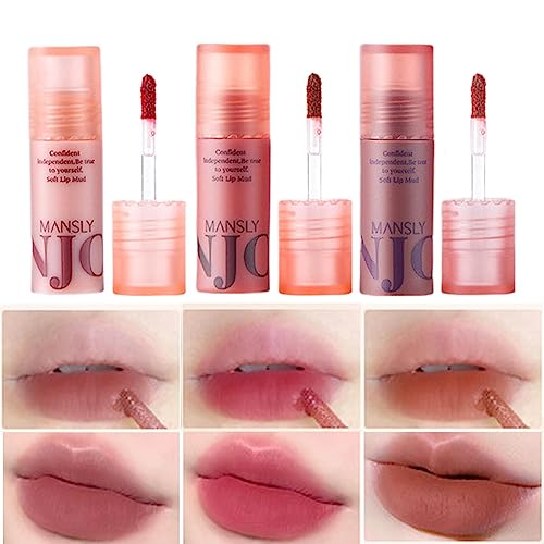 Matter Lippenstift | 3 Stück/Set feuchtigkeitsspendende, wasserfeste, matte Lippenerde - Pralle Lippen, langanhaltende Lipgloss-Make-up-Kosmetik, Wangenverstärker für Frauen und Mädchen Aibyks von Aibyks