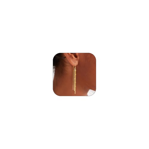 Aidenn Ohrringe Gold Hängend für Damen Goldene Lange Ohrringe Hängend mit Cubic Zirkonia Quasten Hängende Ohrringe 14K Gold Hypoallergen Statement Schmuck von Aidenn