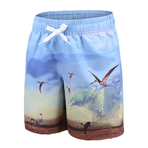 Badeshorts Jungen Badehose Kinder Schnell Trocknende Dinosaurier Boardshorts Hawaii Strand Shorts 134 140/9-10 Jahre von Aisyee