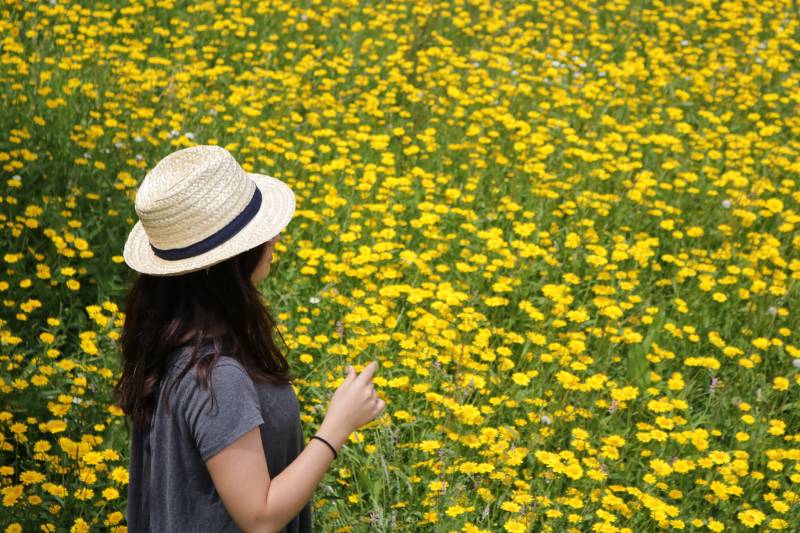 Strohhut, Sommerhut, Damenhut, Herrenhut, Frühlingshut, Strandhut, Urlaubshut, Chapeau De Paille, Cappello Di Paglia, Strohhut von AlbaATN