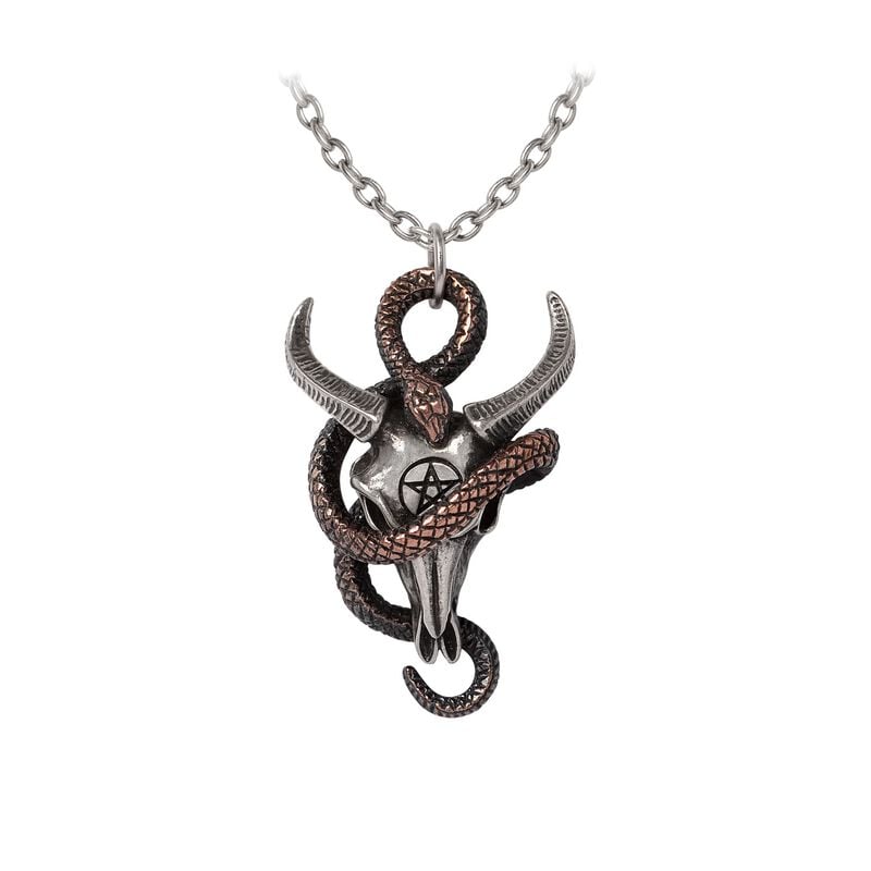 Alchemy Gothic Servant Of Baphomet Halskette silberfarben von Alchemy Gothic