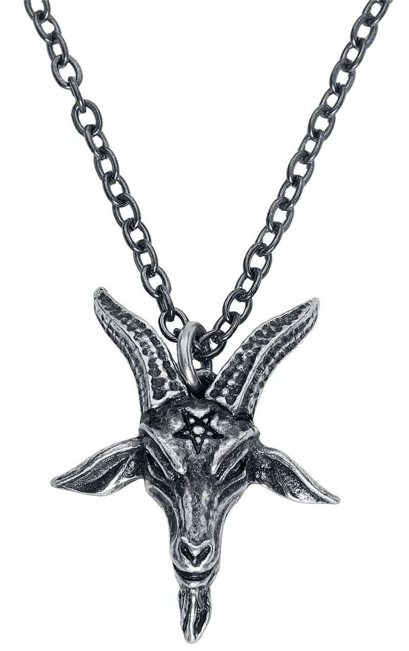 Alchemy Gothic Templar's Bane Pendant Halskette silberfarben von Alchemy Gothic