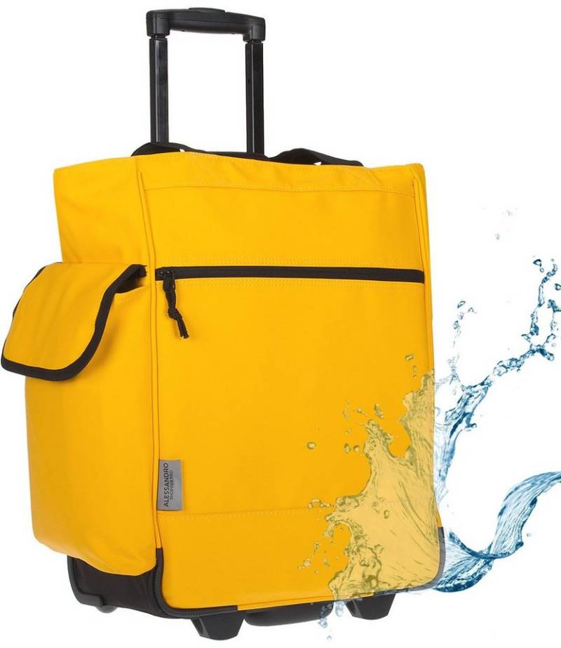 Alessandro Salvatore Einkaufstrolley Pro Shopping Trolley Einkaufswagen, Shoppingroller Einkaufsroller Trolly + Thermotasche von Alessandro Salvatore