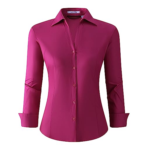 Alex Vando Damen Bluse aus Bambus Hemdbluse Button Down Bügelfreie Business Hemd Damen Langarm Casual Arbeitshemd, Altrosa, L von Alex Vando
