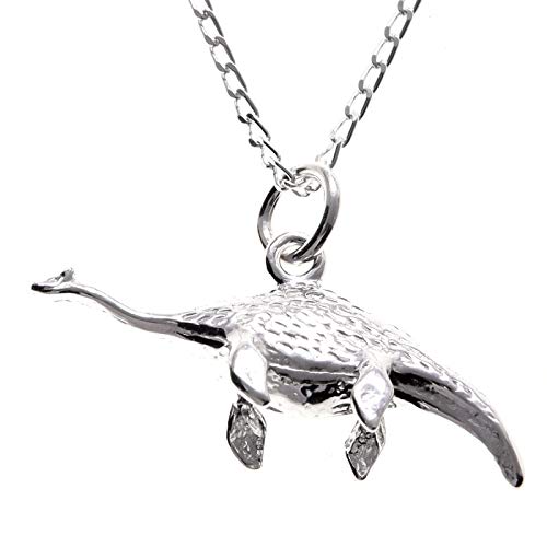 Alexander Castle 925 Sterling Silber Dinosaurier Plesiosaurus Halskette Loch Ness Monster – 30 mm x 12 mm Anhänger mit 45,7 cm Silberkette & Schmuck-Geschenkbox – schottische Geschenke für Frauen und von Alexander Castle