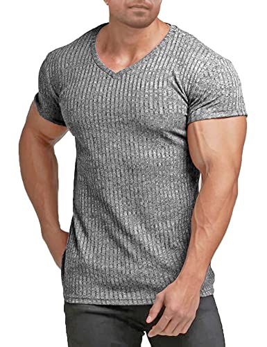 T Shirt Herren für Sports & Outdoor Sportshirt Männer Muskel Top Kurzarm V-Ausschnitt Dehnbar Bodybuilding Activewear & Gym Shirt für Herren von Alienjoy