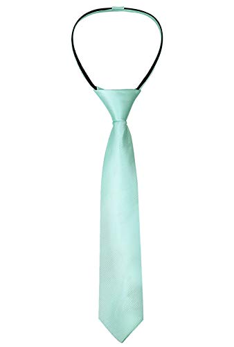 Alizeal Boys Solid Color Vorgebundene 2,4 '' Reißverschluss Skinny Krawatte, Light Mint von Alizeal