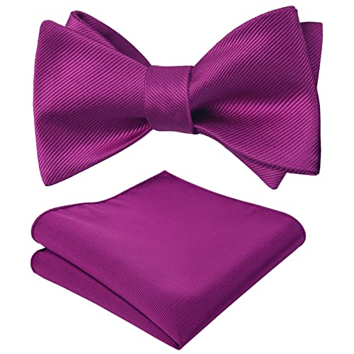 Alizeal Herren Classic Self Fliege und Taschentuch Set (Magenta, Einheitsgröße) von Alizeal