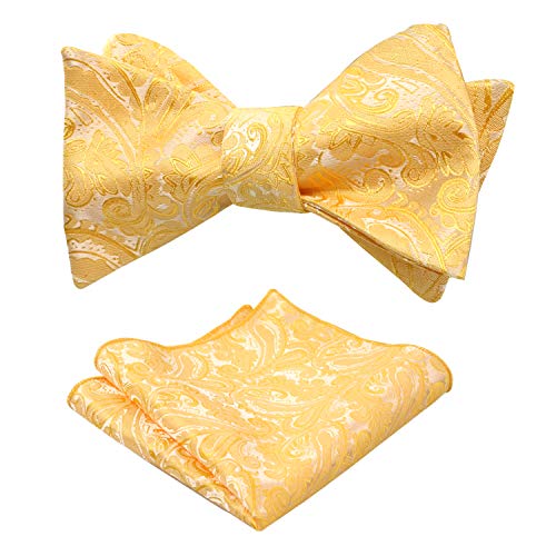 Alizeal Herren Retro Paisley Selbst Fliege und Taschentuch Set, Gelb von Alizeal