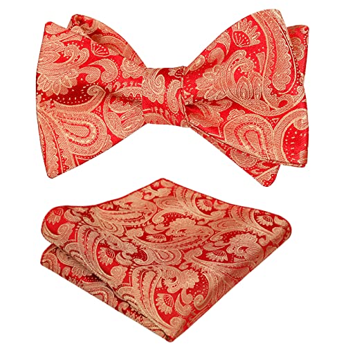 Alizeal Herren Retro Paisley Selbst Fliege und Taschentuch Set, Rot Gold von Alizeal
