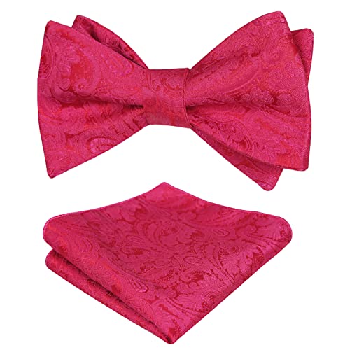 Alizeal Herren Retro Paisley Selbst Fliege und Taschentuch Set, Rote Fuschia von Alizeal