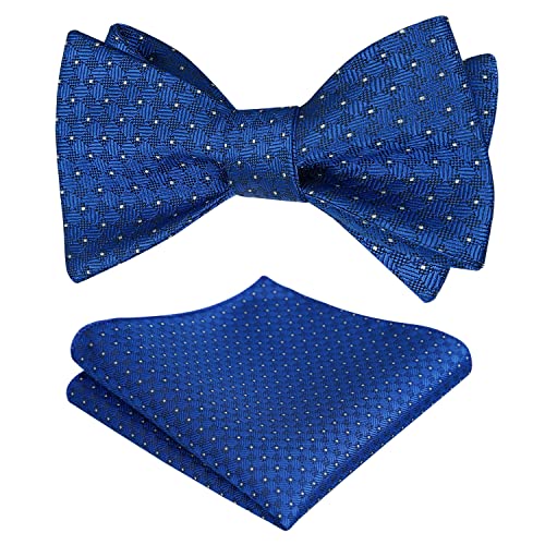 Alizeal Herren Silver Dot Wedding Vorgebundene Fliege und Taschentuch, Königsblau von Alizeal