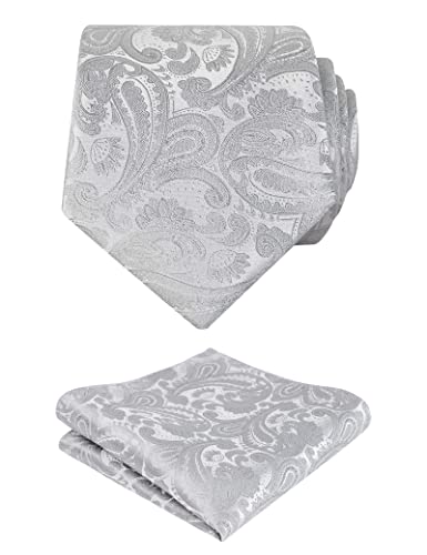 Alizeal Männer Paisley Floral Krawatte Taschentuch Hochzeit Gewebte Krawatte Set, Sliber von Alizeal