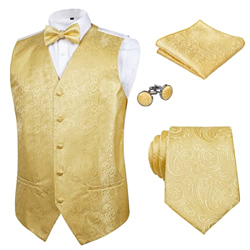 Alizeal Mens Classic 5-teiliges Paisley-Jacquard-Anzugwesten-Set, Golden-L von Alizeal