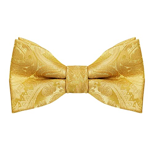 Alizeal Paisley Banded Verstellbare Länge vorgebundene Jungen Fliege, Goldene Olive von Alizeal