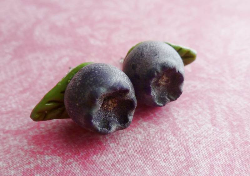 Blaubeer Ohrstecker Obst Ohrringe Miniatur Lebensmittel Schmuck Polymer Clay Blaubeeren Blaubeer Ohrstecker Obst Ohrringe Miniatur Lebensmittel Schmuck Polymer Clay Blaubeeren von AllSoCharming