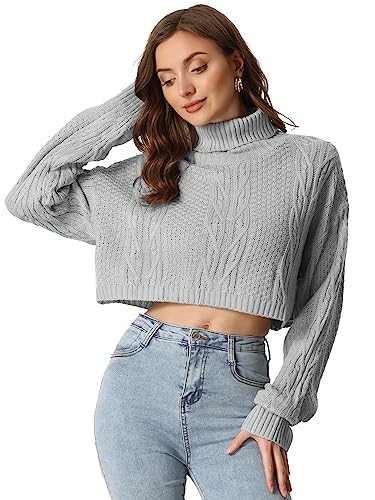 Allegra K Damen Langarm Strickpullover Rollkragen Kurzes Oberteil Crop Pullover Grau L von Allegra K